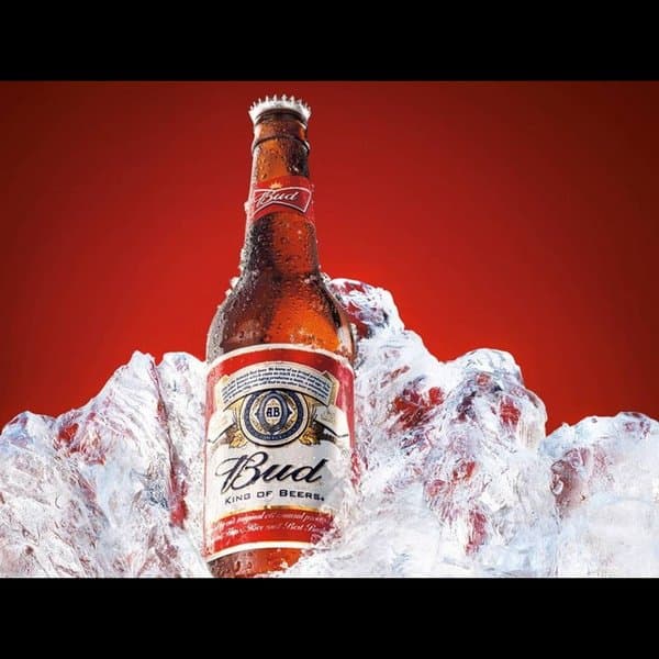 Bud 33 Cl Şişe